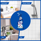 Lizol Power Bathroom Cleaner, 450 ml