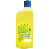 Lizol Disinfectant Floor Cleaner (Citrus), 500 ml