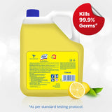 Lizol Disinfectant Floor Cleaner (Citrus), 5 L