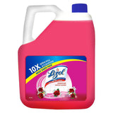 Lizol Disinfectant Floor Cleaner (Floral), 5 L