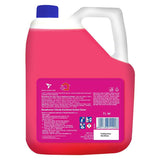 Lizol Disinfectant Floor Cleaner (Floral), 5 L