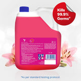 Lizol Disinfectant Floor Cleaner (Floral), 5 L